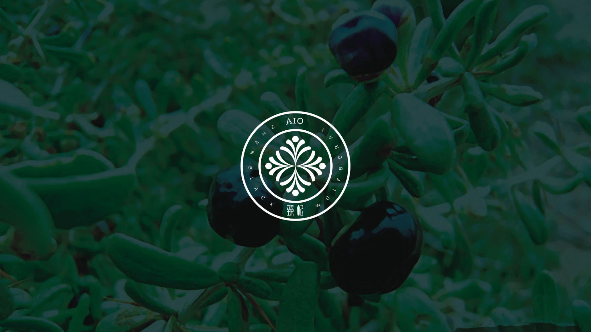 ec23f94cd60ad6b0ecfd841584e12688.jpg 01.jpg