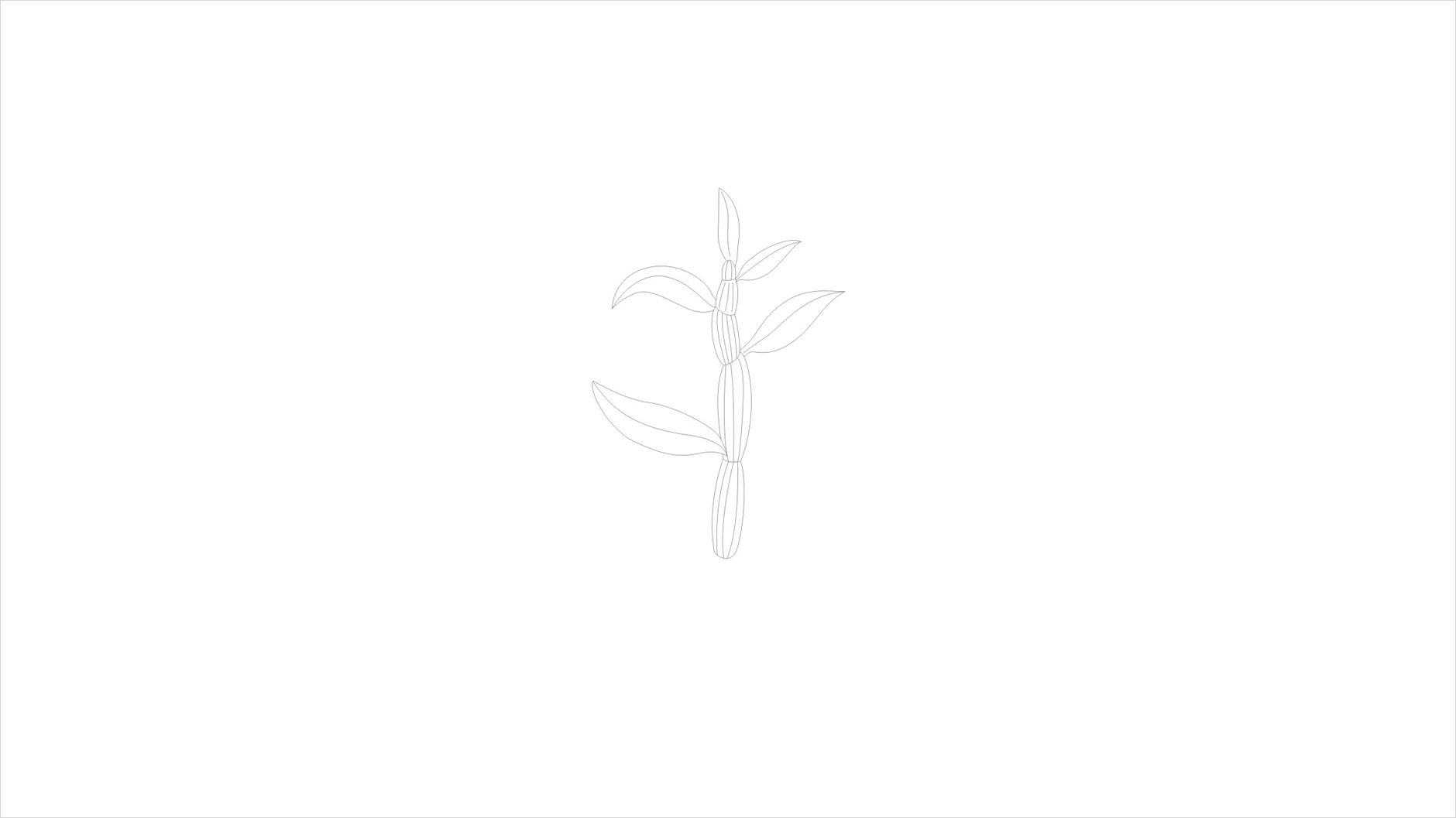 2cc3c96a4b9823299b311ab988c516a1.jpg